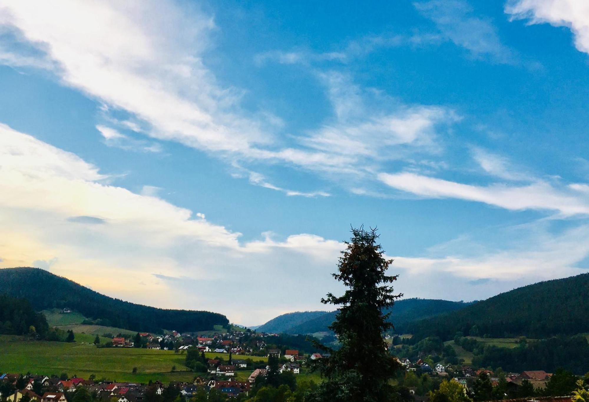 Goldener Hahn B&B Baiersbronn - Ferienwohnungen Mit Hotel Service Nahe Gartenschau Tal X Esterno foto