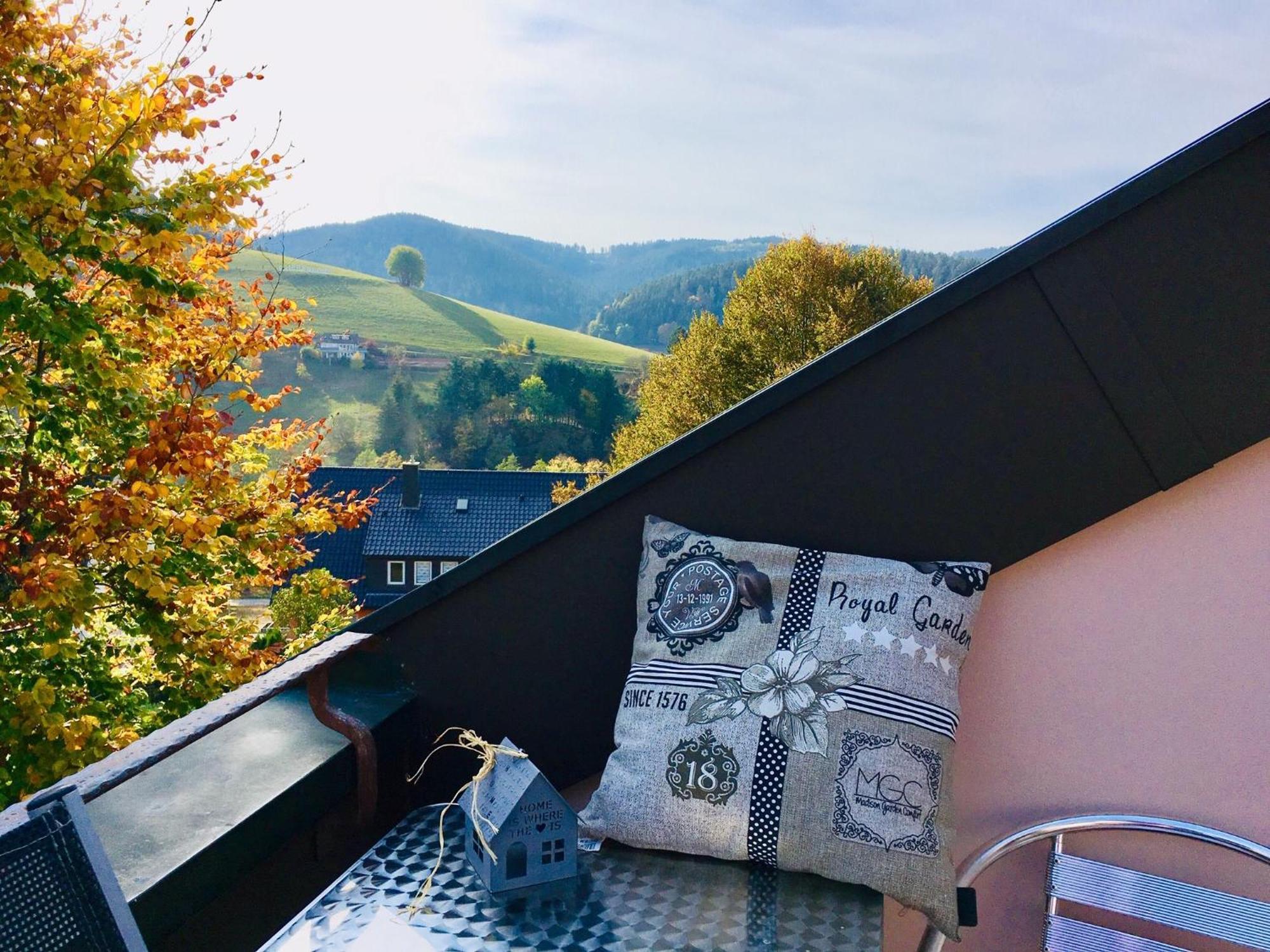 Goldener Hahn B&B Baiersbronn - Ferienwohnungen Mit Hotel Service Nahe Gartenschau Tal X Camera foto