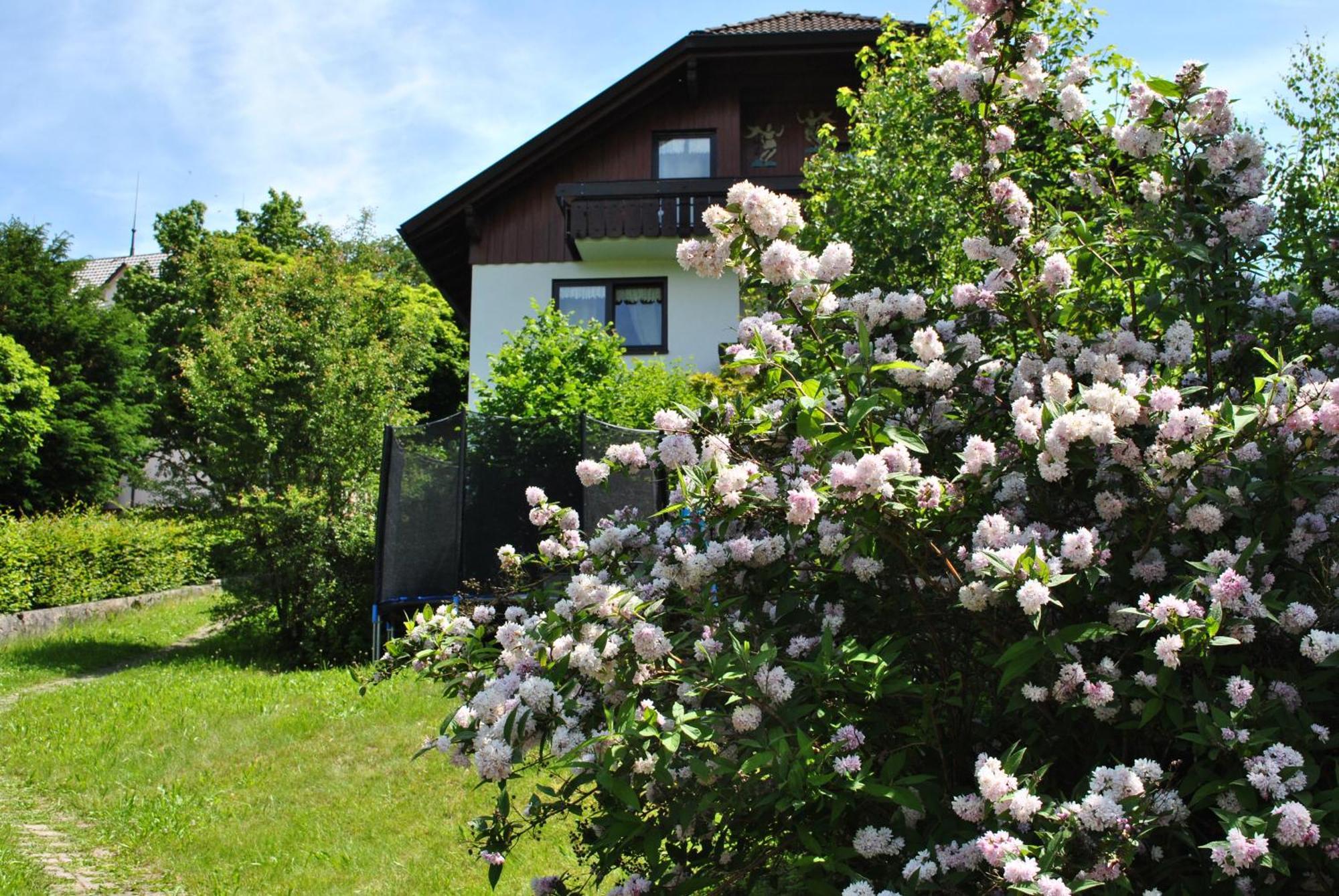 Goldener Hahn B&B Baiersbronn - Ferienwohnungen Mit Hotel Service Nahe Gartenschau Tal X Camera foto